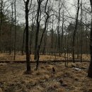 사명대사길 이미지