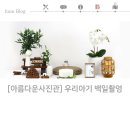 아름다운사진관 백일 출장 촬영 성공적인 백일촬영