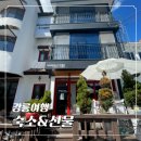 강릉 하우스 | 강릉역 숙소 아카펠라 게스트하우스 후기 ㅣ 강릉여행 선물 추천