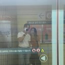훌랄라참숯치킨진부1점