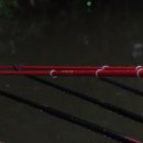 황금좌대 이미지