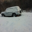 노루발타이어 이미지