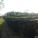 임경빈농장 이미지