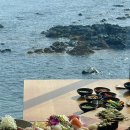 ㈜제주시엔투어 | 제주 중문 가볼만한곳 제주도 요트 투어 퍼시픽 마리나 서귀포맛집 항해진미