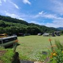 갤러리수락 이미지