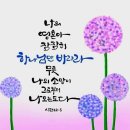 프랜즈 카페