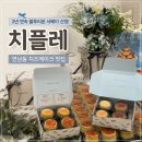 청주 현대백화점 팝업 :: 치플레 :: 2년 연속 내돈내산 솔직후기