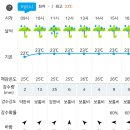 흥룡사