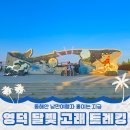 동해안자전거도로7(동) | 7번 국도 동해안 블루로드 영덕 여행 달빛 고래 트레킹 8월 가볼 만한 축제