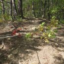 검산1리 마을회관 이미지