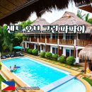 호텔파파야 | 보홀 0.5박 숙소 추천 센트 오브 그린 파파야 내돈내산 후기