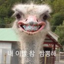 스카이한수위수학학원 | 기말끗과 졸업사진그리고 많은 일상