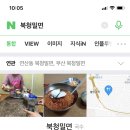 북청밀면 이미지