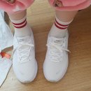 금주농장 | 중족골 2,3번 골절로 수술한 후기 (7~8주차)