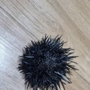 어멍민박 이미지