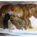 카리스마 이미지