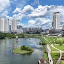 동탄순환대로1길 네이버블로그
