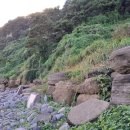 제주 서귀포층 패류화석 산지 | 제주 서귀포층 패류 화석산지, 용천수 원리를 알겠네요.