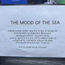 바다의기분풀빌라 | 통영 감성숙소 추천! 바다의 기분 풀빌라 솔직후기