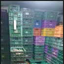 무주반디농장 이미지