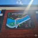 강원도 계곡 가볼만한곳 신선마을 계곡 하마읍 휴양지 캠핑장