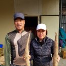 태형농장 이미지