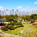 옥구공원 이미지