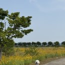 대산문화체육공원(파크골프장) 이미지