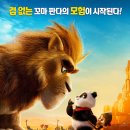판다네 이미지