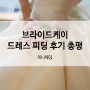 주식회사 비더케이 | 드레스투어 브라이드케이 드레스 피팅 후기 총평