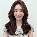 댕댕이묭실 | 묭실 유목민 탈출! 원주 기업도시 미용실 정착각 재대로 잡았어요