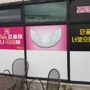 상남동144 이미지