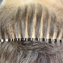 도트앤플로우 이미지