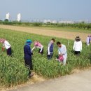 고경면행정복지센터 이미지