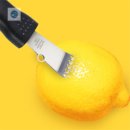 제스트칼 이미지