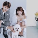 현아 이미지