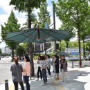 그늘막12 이미지