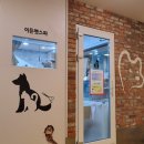 이든펫스파 이미지