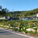 미천시장 이미지