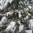 여주-1045 이미지