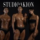 메이트 피티 이미지