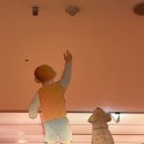 책 속 세상 네이버블로그