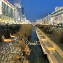 (주)디오트