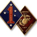 해병 제1상륙사단 이미지