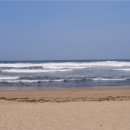 용인대학교 예술대학원 이미지