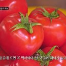 [스트리트푸드파이터] 홍콩 토마토 라면 이미지