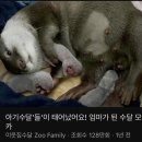 광인농장 이미지