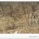 임실반디울농장 네이버블로그