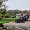 테디벨리골프장 4 이미지