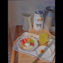 849 | [제주도 맛집] 서귀포 제주에인감귤밭 카페 제주도 감성을 느낄 수 있는 카페